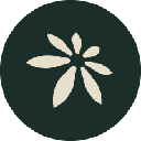 token icon